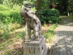 -白马涧龙池景区