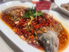 -杨氏青龙虾·羊蝎子(托乐嘉店)