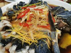 -煲来饱去冷水鱼