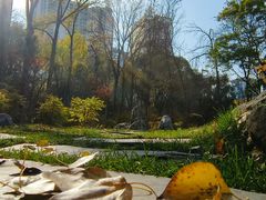 -西宁市人民公园(城西区)