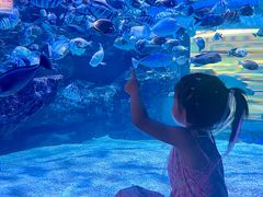 -海合安成都极地海洋公园