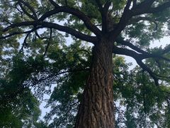 -天津盘山风景名胜区