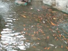 -森谷美食公园(杨行店)