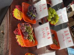 -马陆小张葡萄园农家乐