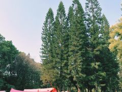 -人民公园(罗湖区)