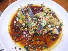 -全乐鱼馆·淳牌有机鱼直营店