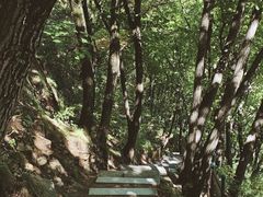 -吉林拉法山