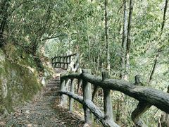 -神农架香溪源景区