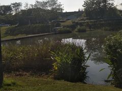 -两河城市森林公园