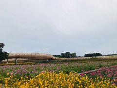-江苏三台山国家森林公园