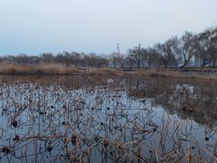-济南大明湖景区