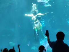 -福州罗源湾海洋世界旅游区