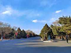 -北陵公园