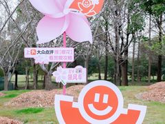 -顾村公园