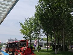 -大兴滨河森林公园