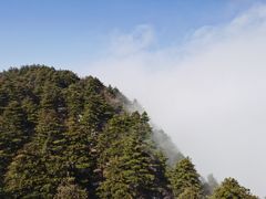 -秦岭天竺山生态文化旅游景区