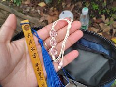 -武汉大学-樱园