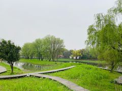 -西溪国家湿地公园