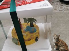 -36cake生日蛋糕·下午茶(南山店)