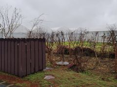 -广富林郊野公园