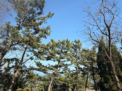 -棒棰岛宾馆景区