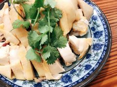 -九斤黄三黄鸡专卖店