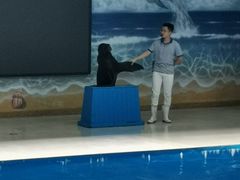 -锦艺城海洋馆