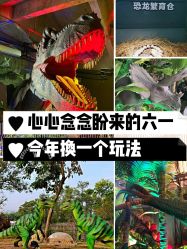 -恐龙探索乐园(磁器口店)