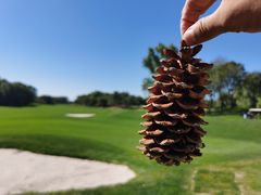 -北京京辉高尔夫俱乐部有限公司