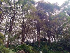 -忠山公园