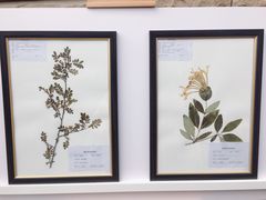 -西安大唐西市博物馆