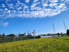 -金稼园·金平湖农家菜