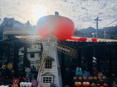 -京北渔家傲