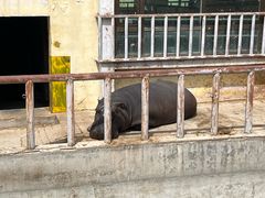 -青藏高原野生动物园