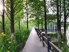 -映月湖中央公园