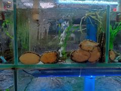 水产区-富临港·蒸汽海鲜·手抓海鲜·炒菜(栈桥店)