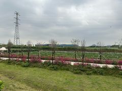 -长洲岛都市农业公园