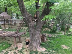 -西安秦岭野生动物园