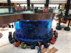 -OPEN開全日自助餐厅·牛肉火锅·海鲜(佛山希尔顿酒店)