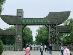 -溱湖国家湿地公园