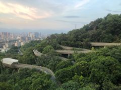 -福道