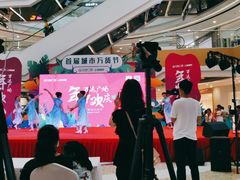 -上海颛桥万达广场