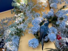 -青之口新疆菜·特色羊排揪片子