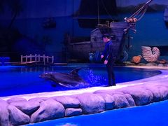 -华夏文旅海洋公园