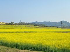 -光明小镇欢乐田园