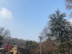 -北极阁公园