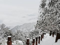 -瓦屋山景区