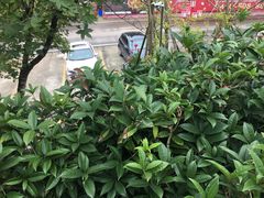 -楠柏弯休闲山庄(梨花溪店)