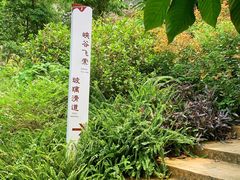 -南丹山森林王国