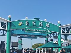 -荷兰花海